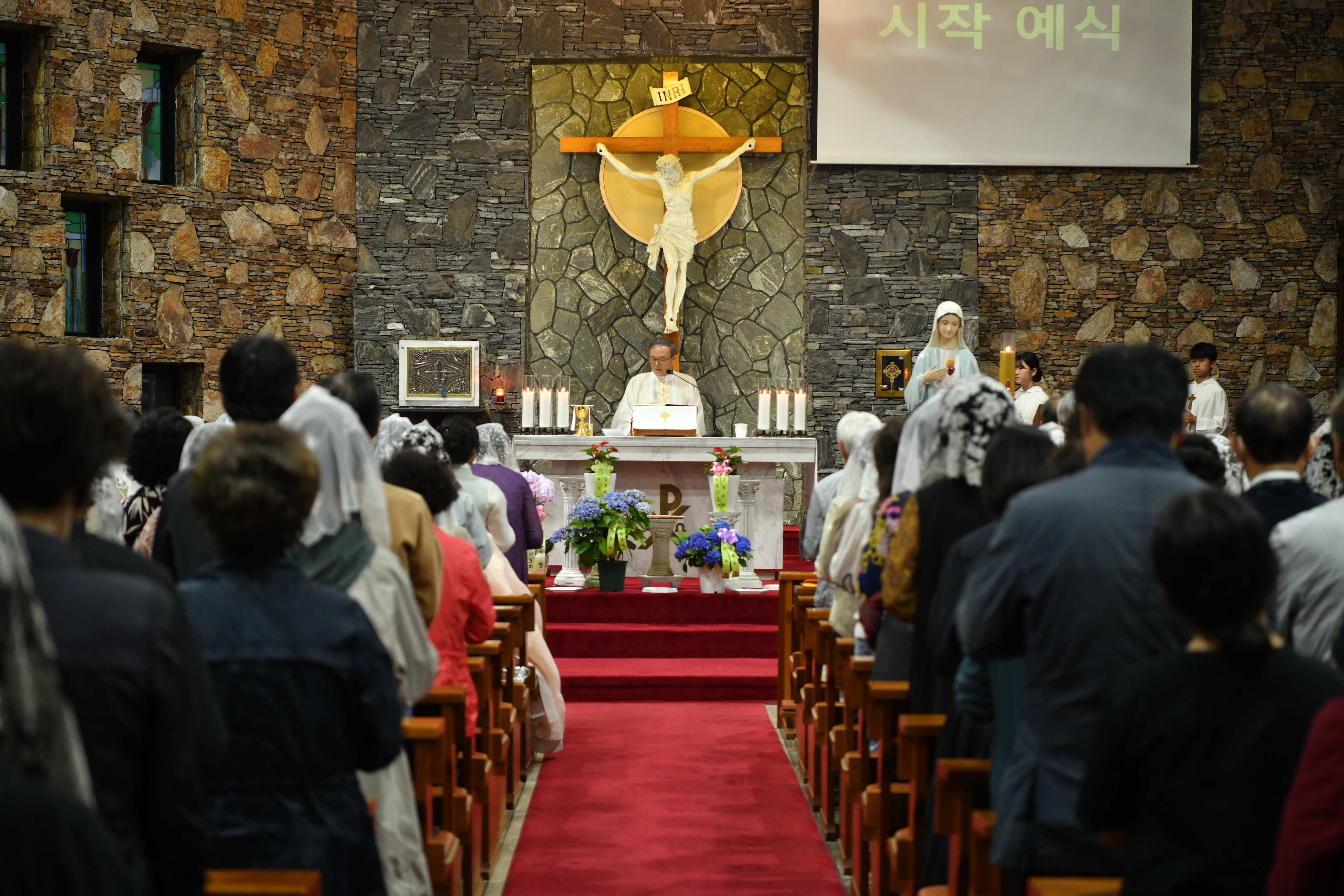 [꾸미기]DSC_8817.JPG