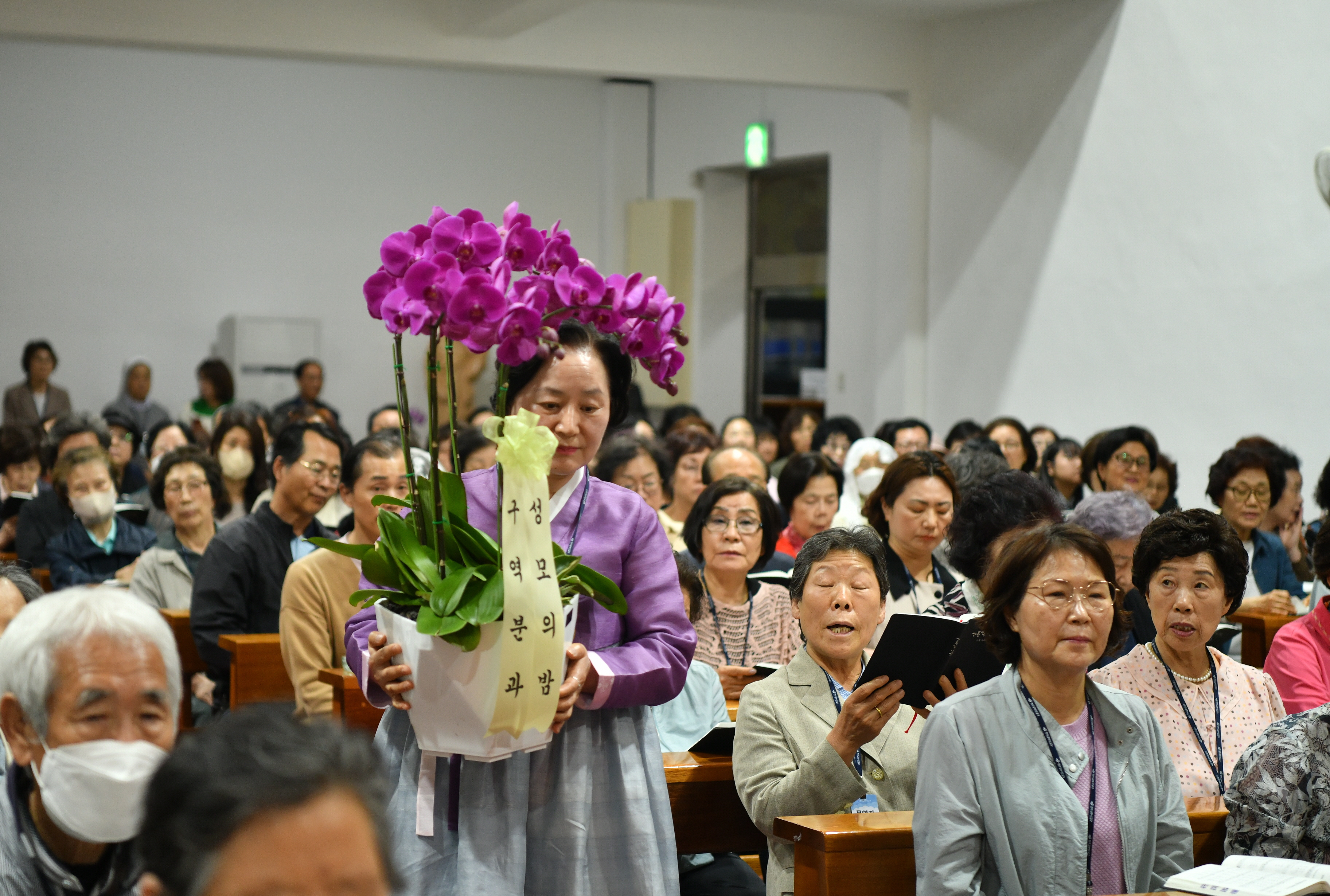 [꾸미기]DSC_8854.JPG
