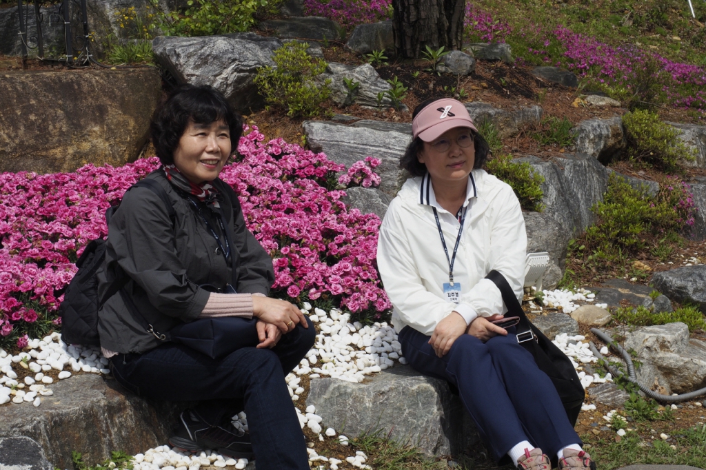 [꾸미기]_5016722.JPG