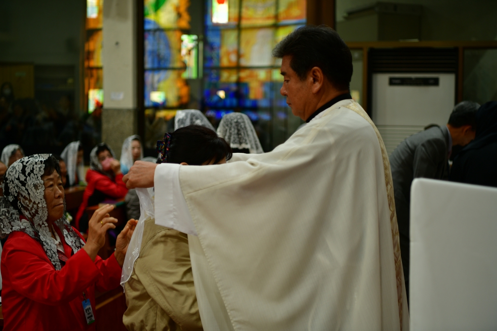 [꾸미기]DSC_3978.JPG