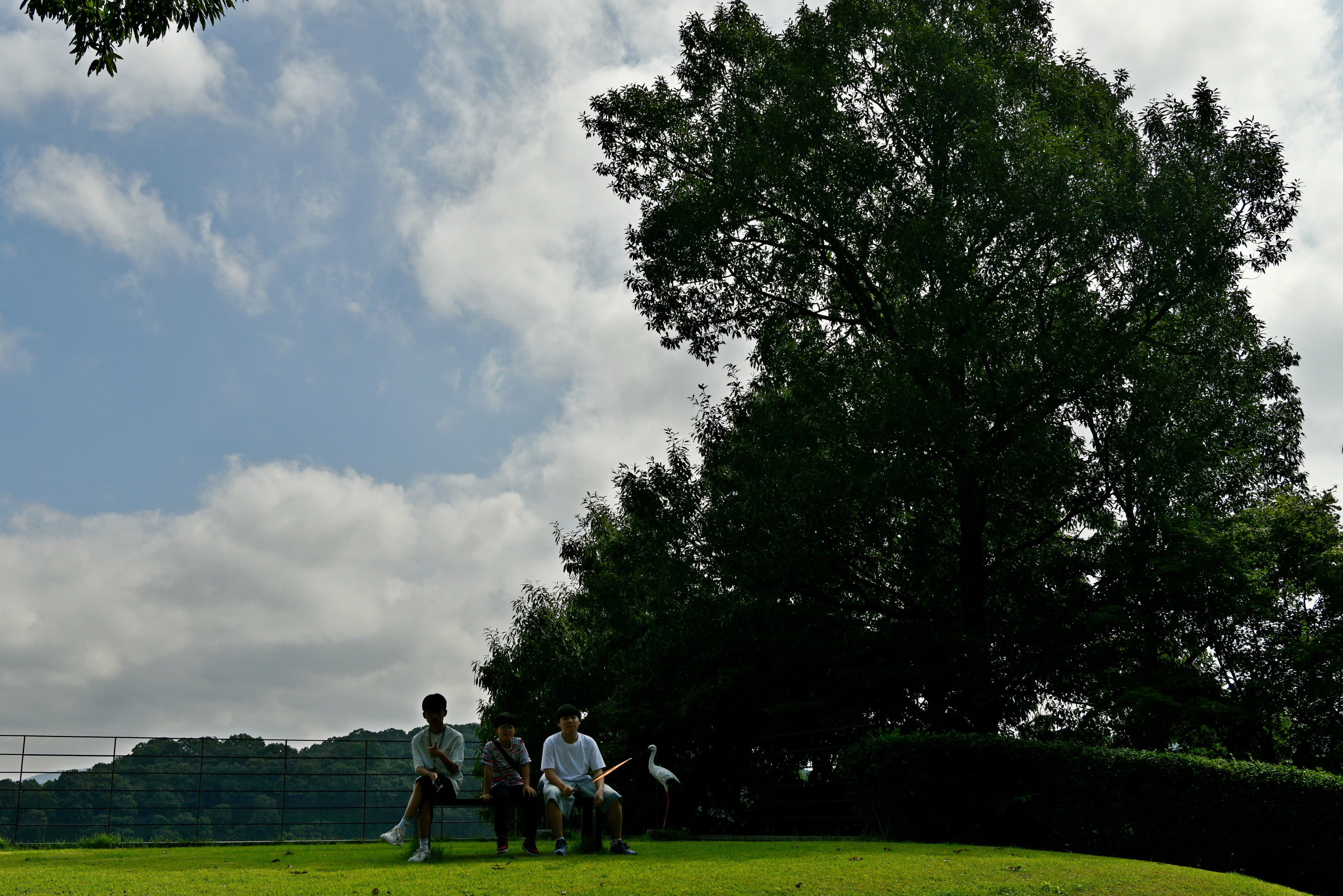 [꾸미기]DSC_0017.JPG