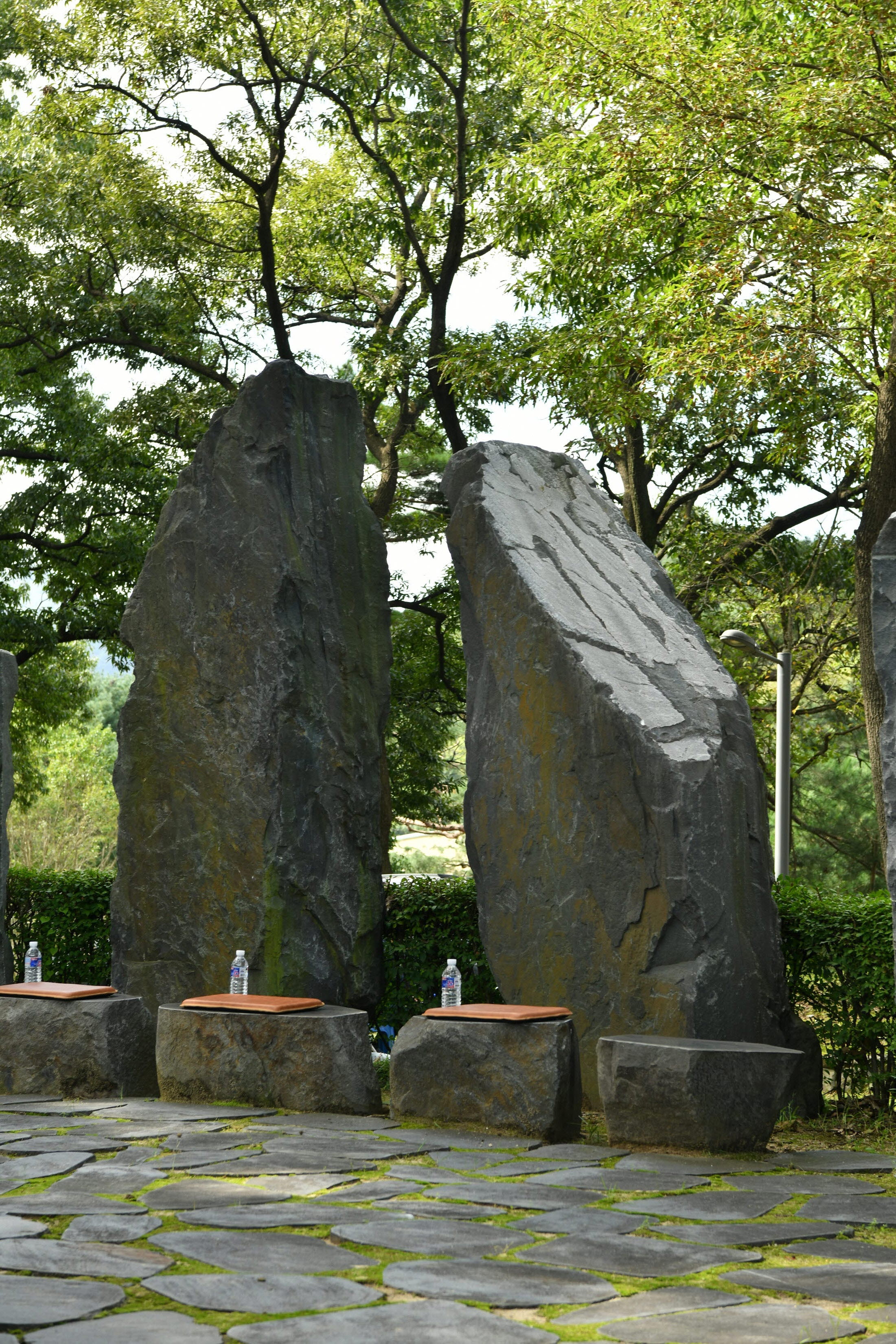 [꾸미기]DSC_0020.JPG