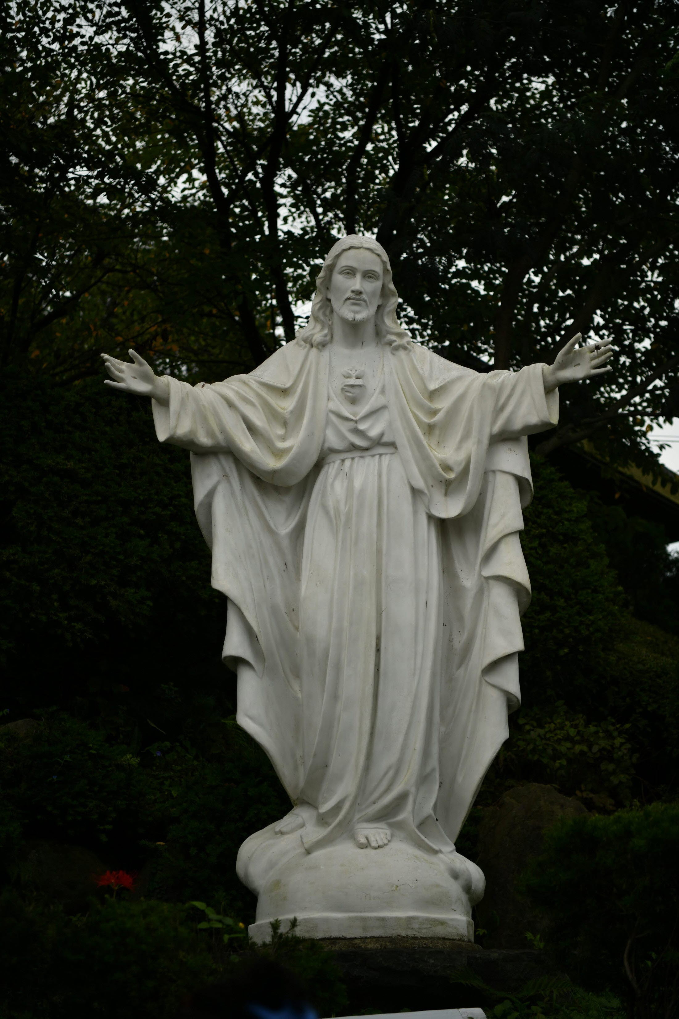 [꾸미기]DSC_0007.JPG