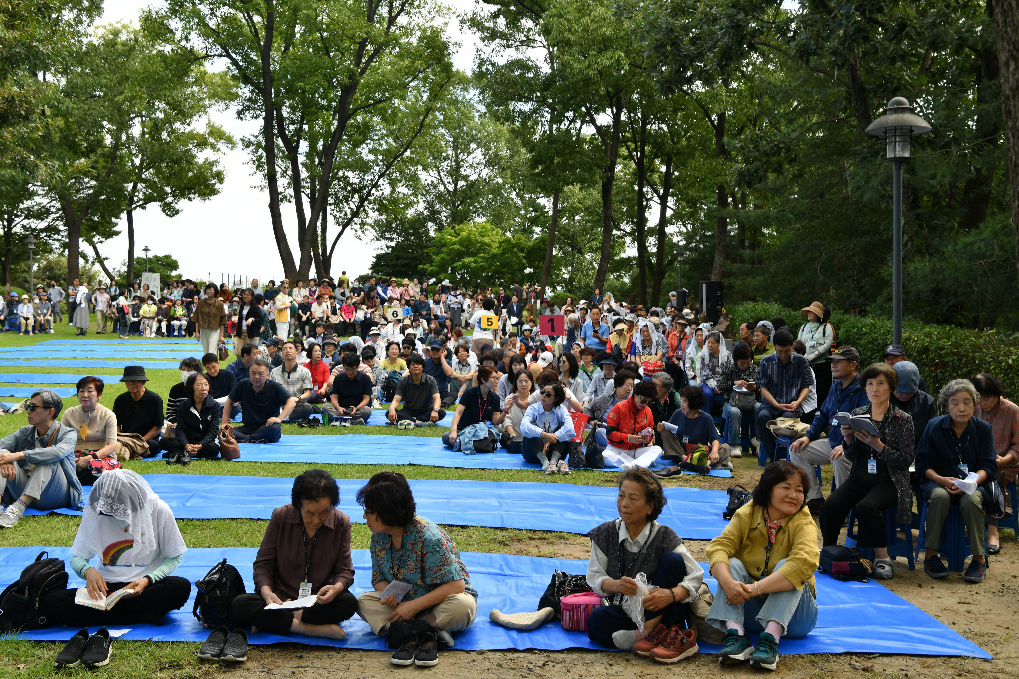 [꾸미기]DSC_0034.JPG