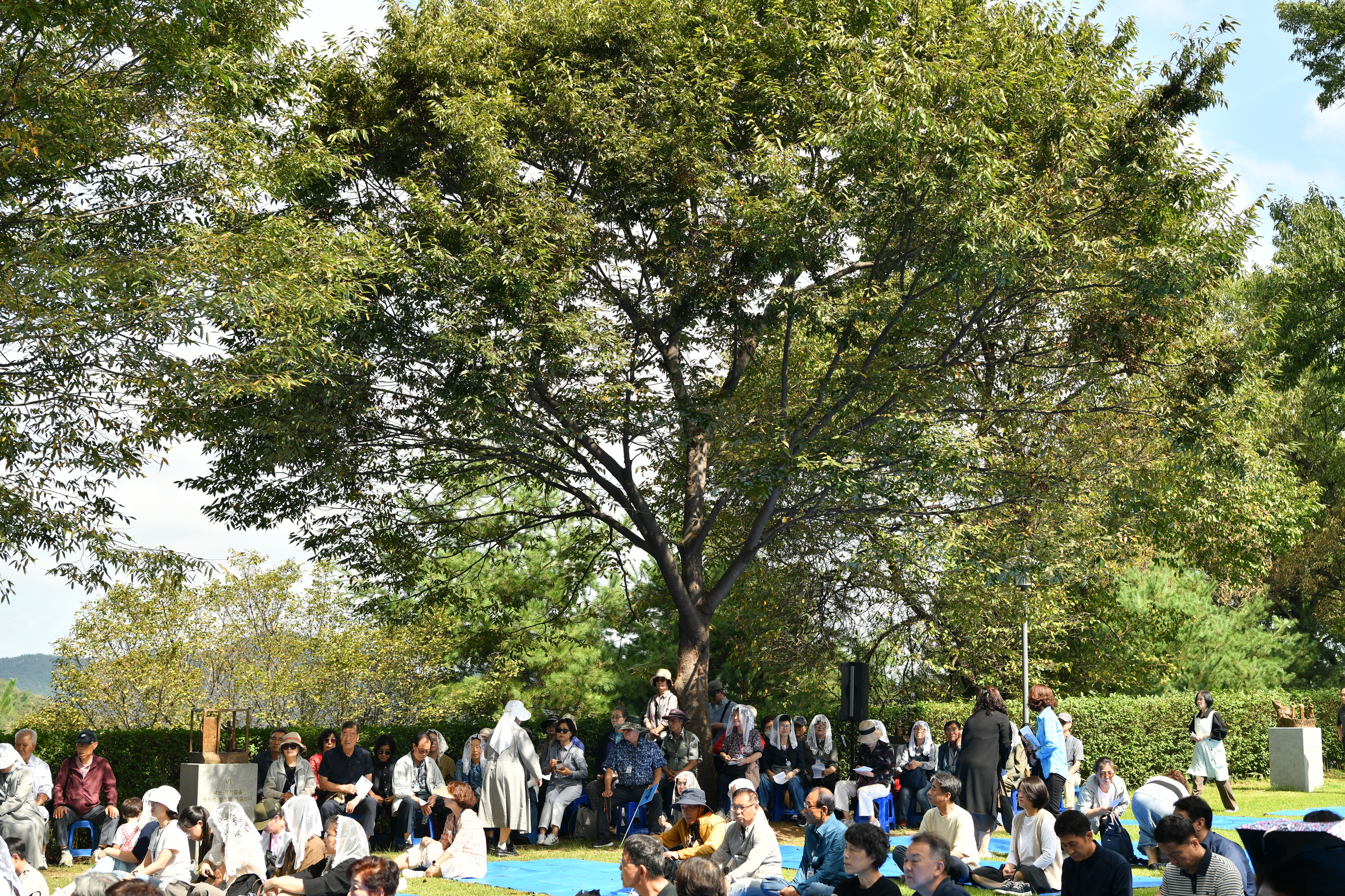 [꾸미기]DSC_0037.JPG