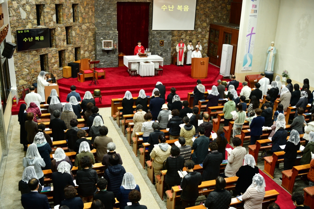 [꾸미기]DSC_3441.JPG