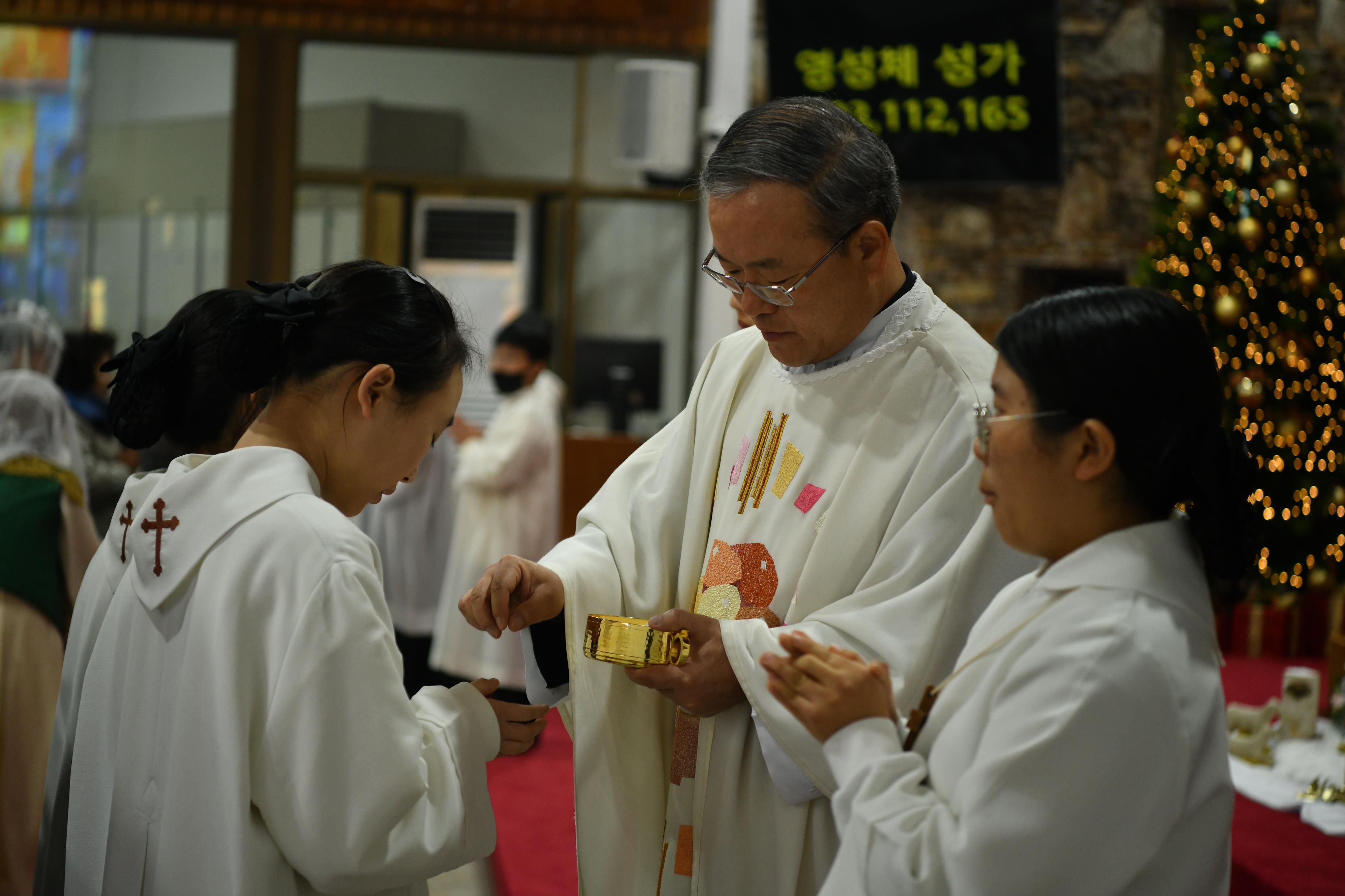 [꾸미기]DSC_7536.JPG