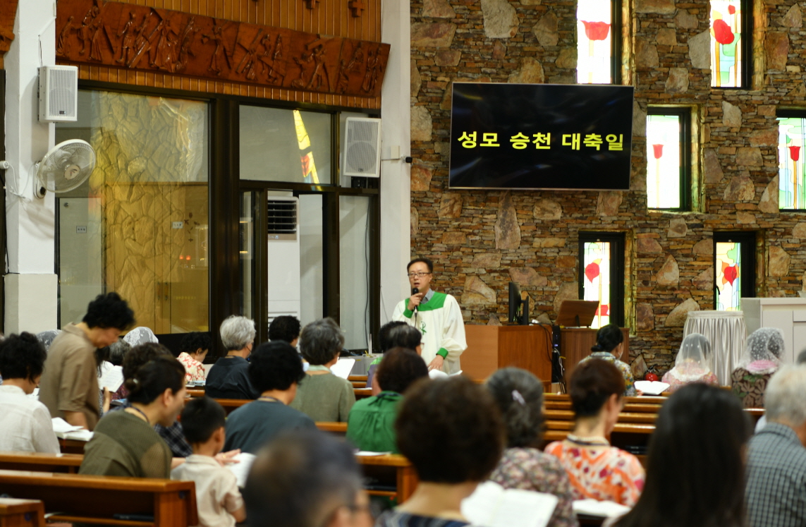 [꾸미기]DSC_9238.JPG