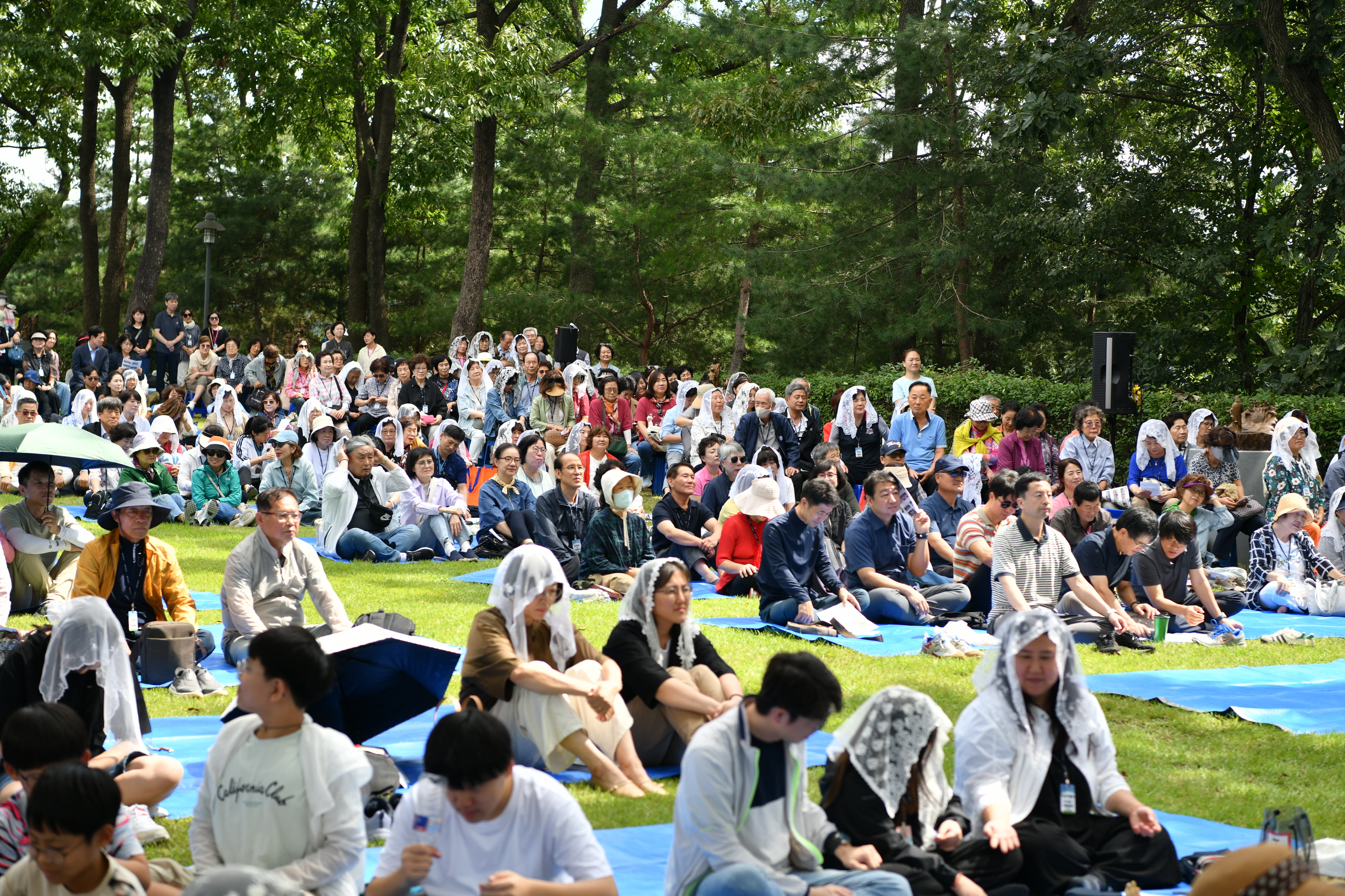 [꾸미기]DSC_0067.JPG