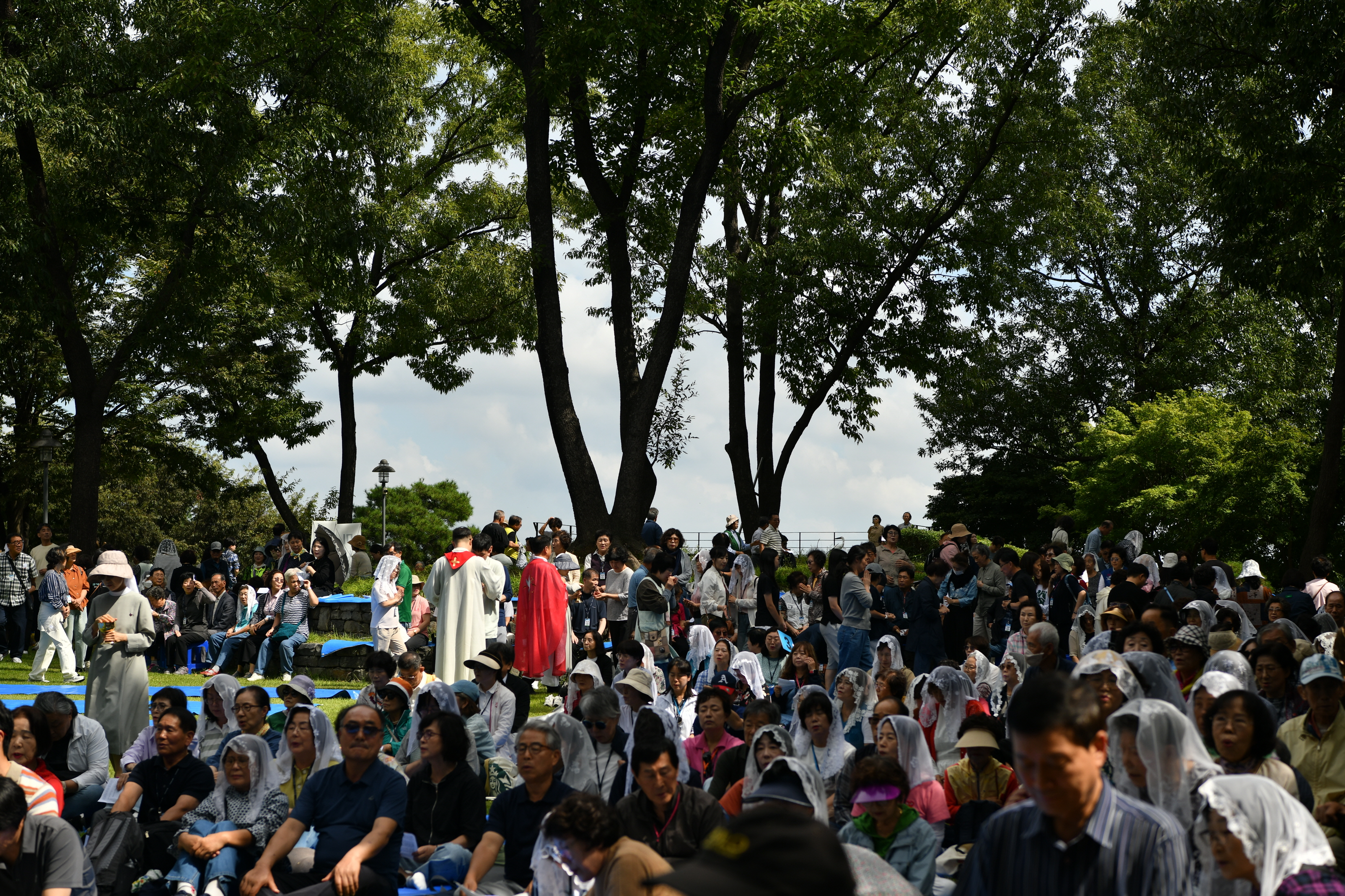 [꾸미기]DSC_0056.JPG