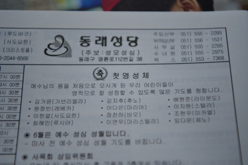 [꾸미기]DSC_5295.JPG