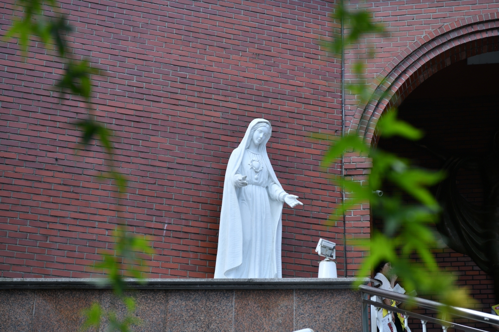 [꾸미기]DSC_6584.JPG