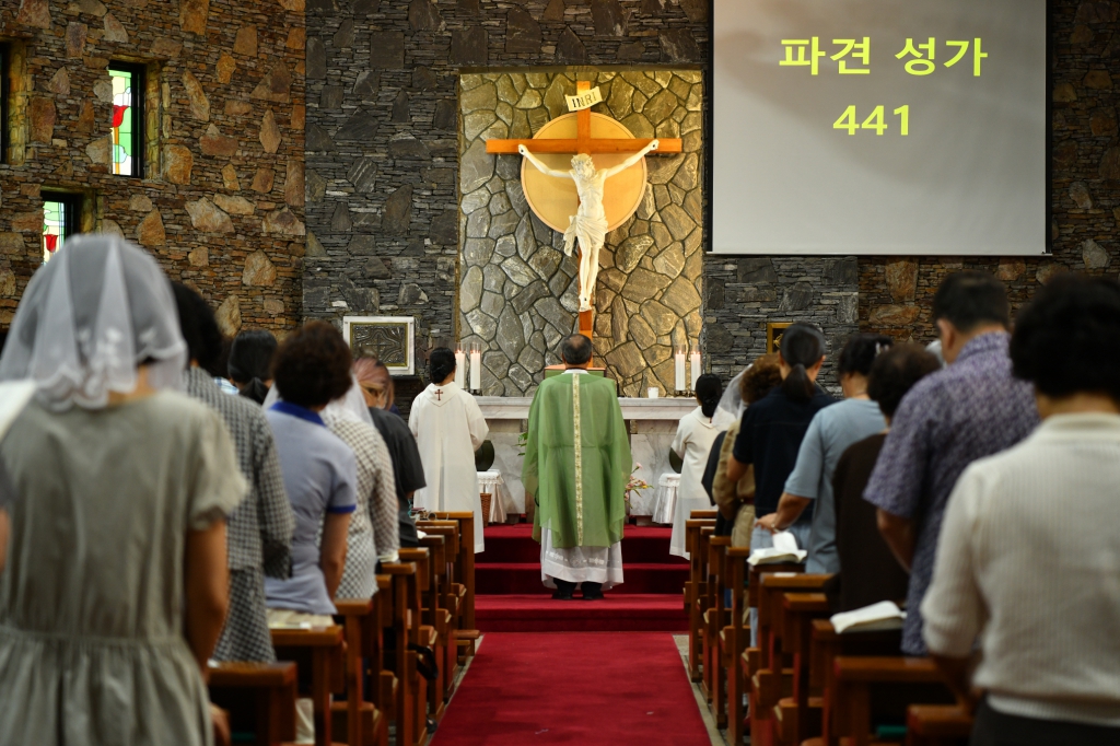 [꾸미기]DSC_6635.JPG