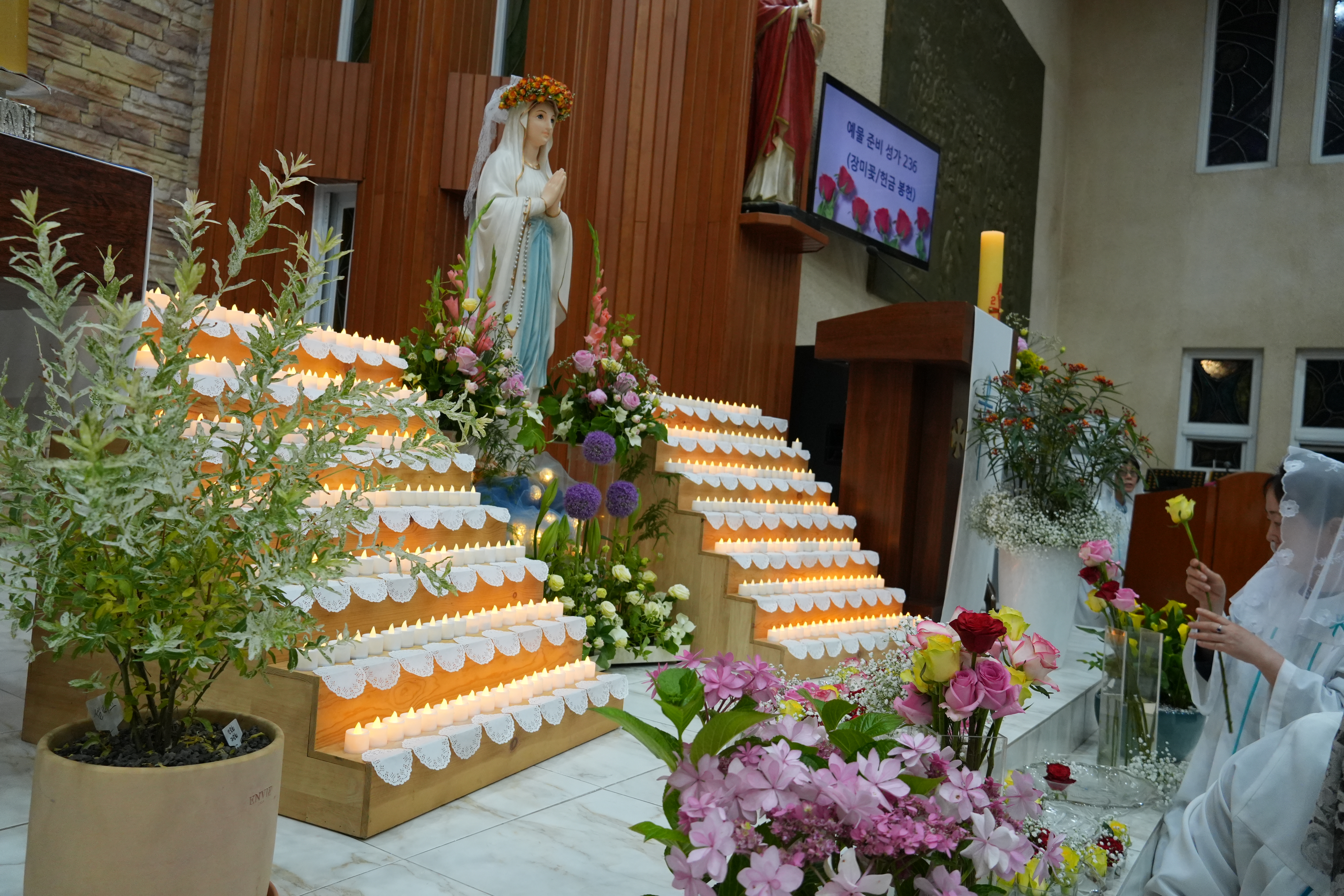 DSC06356.JPG