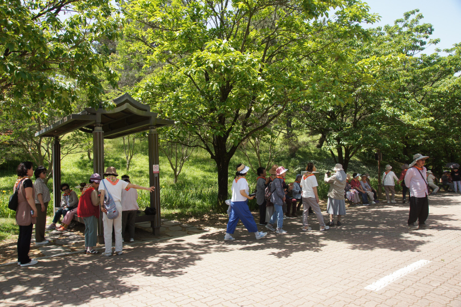 DSC05119.JPG