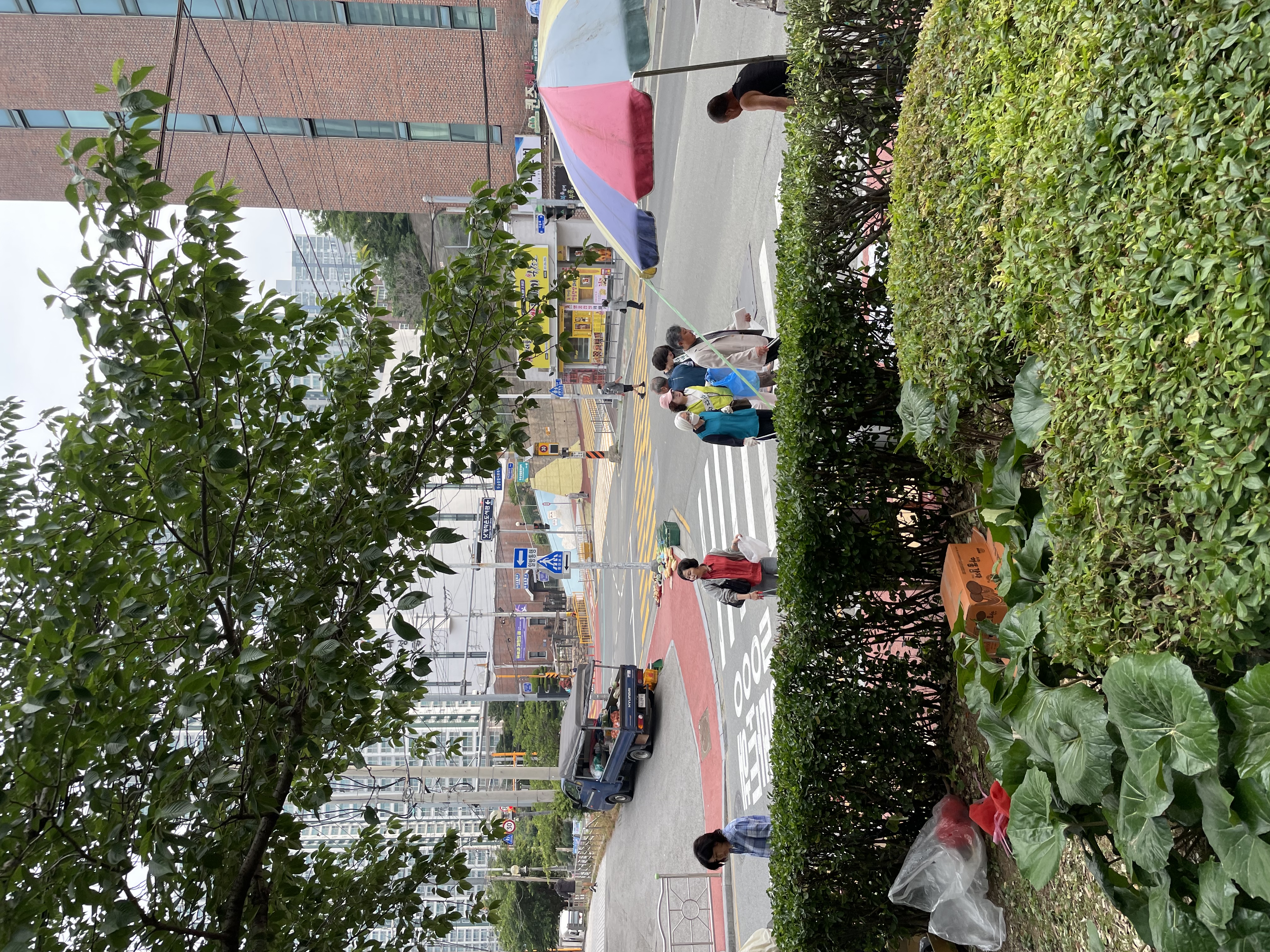 250608 낫개청소  (11).jpg