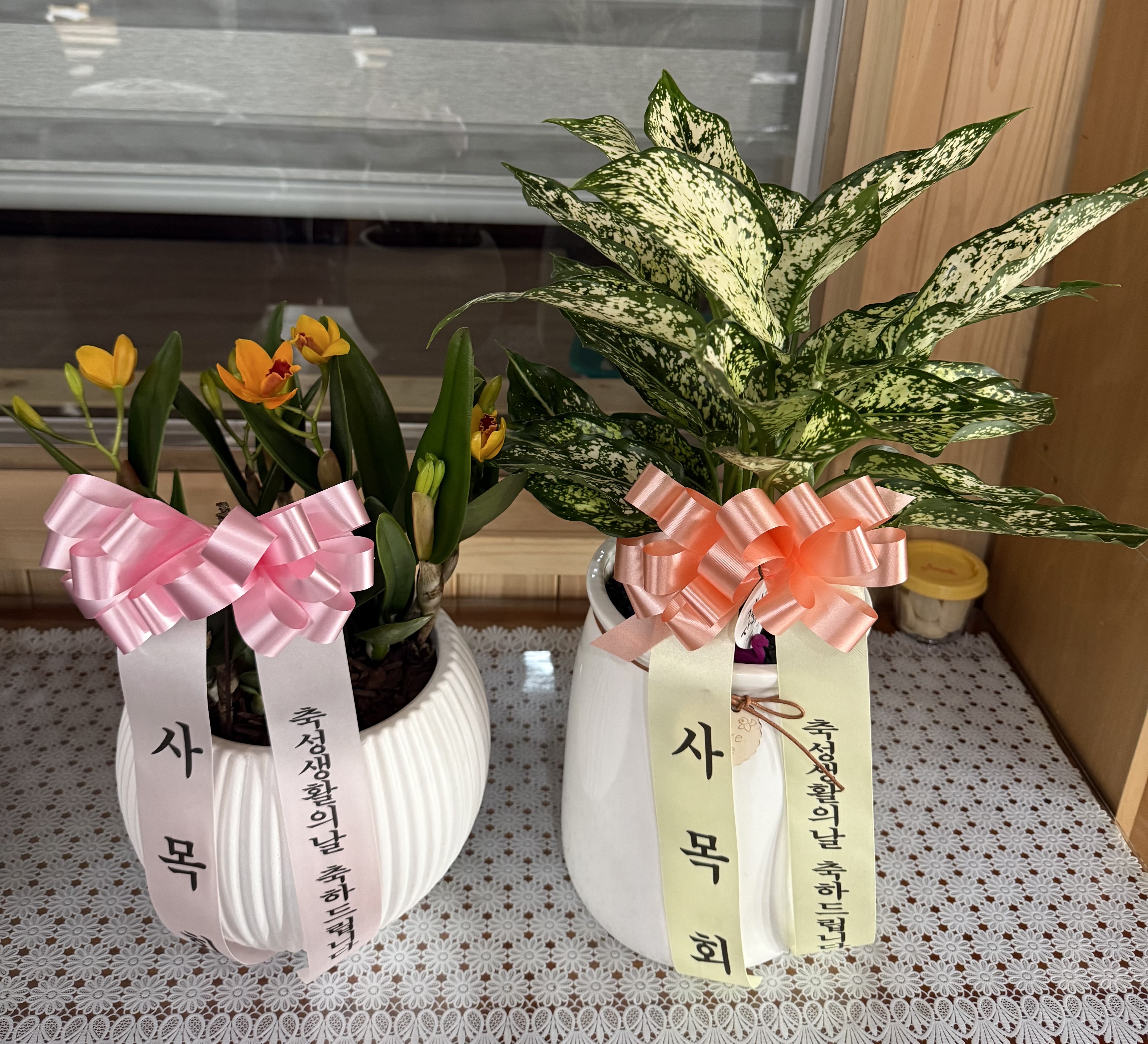 260201 초축성 (12).jpg