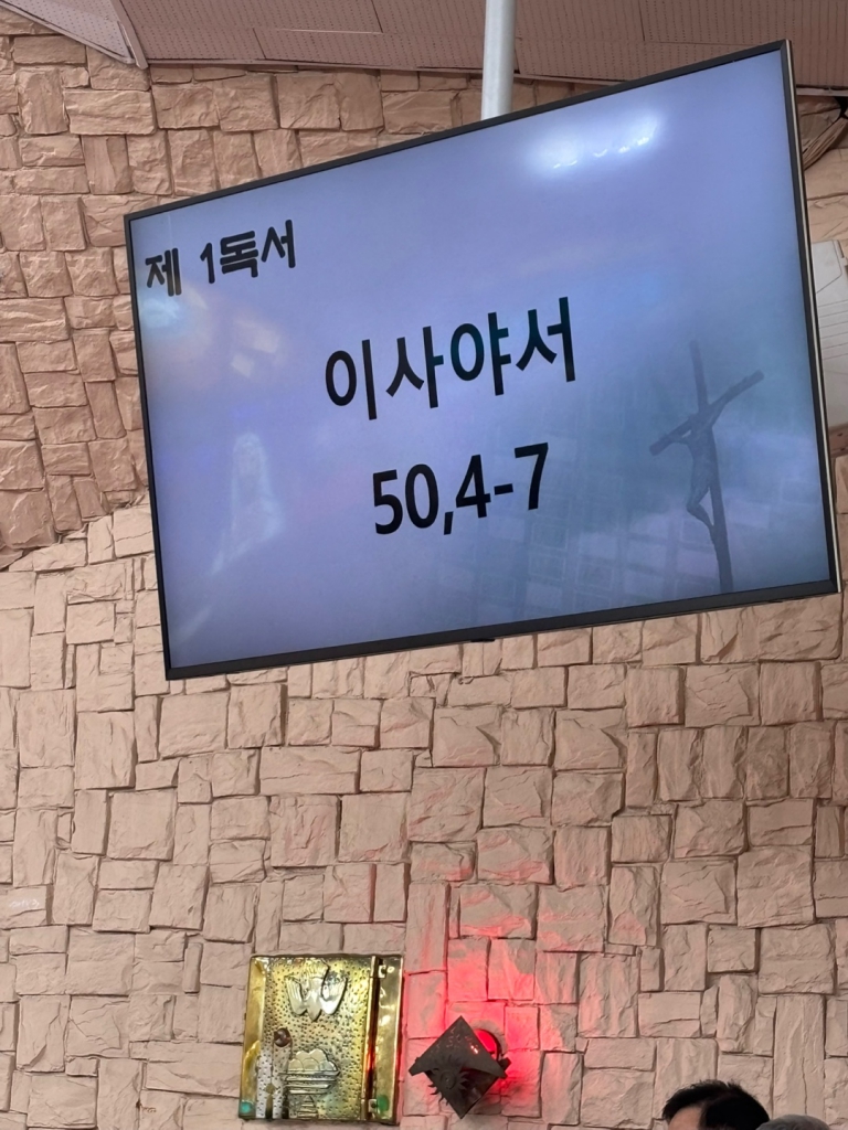 KakaoTalk_20250416_202318143_26.jpg