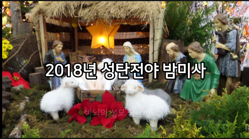 KakaoTalk_20211207_120024228.png