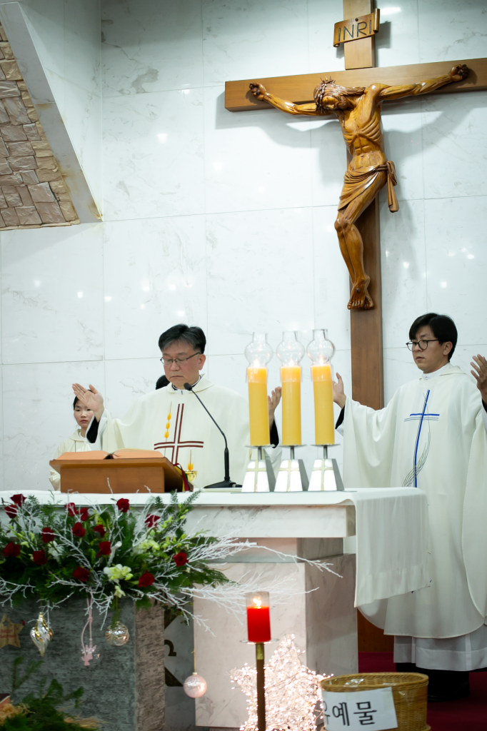 _MG_0224.png
