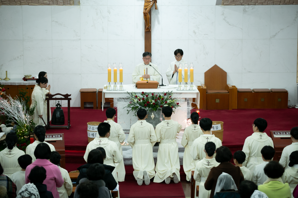 _MG_0178.png