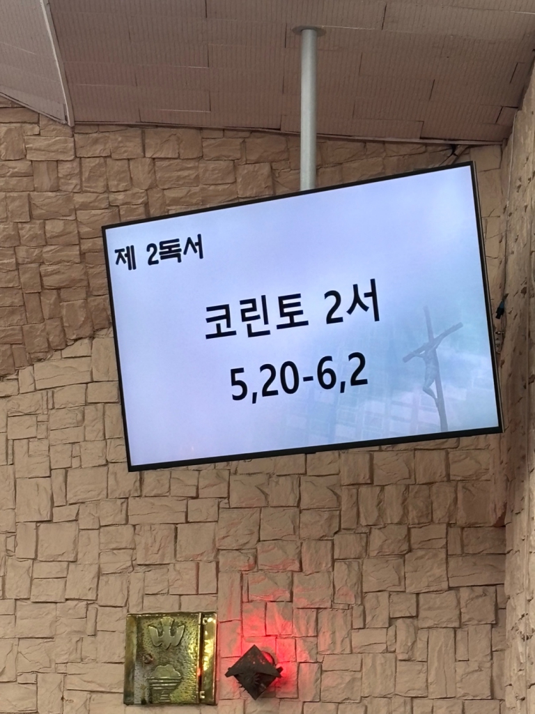 KakaoTalk_20250306_230453182_03.jpg