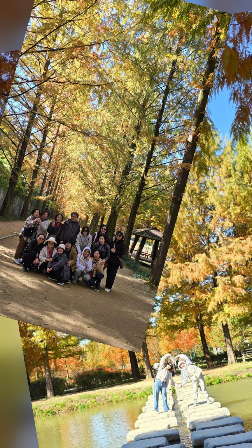 11월10일 전례분과.jpg