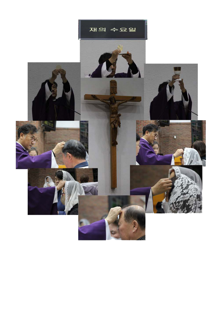 재의수요일 복사.png