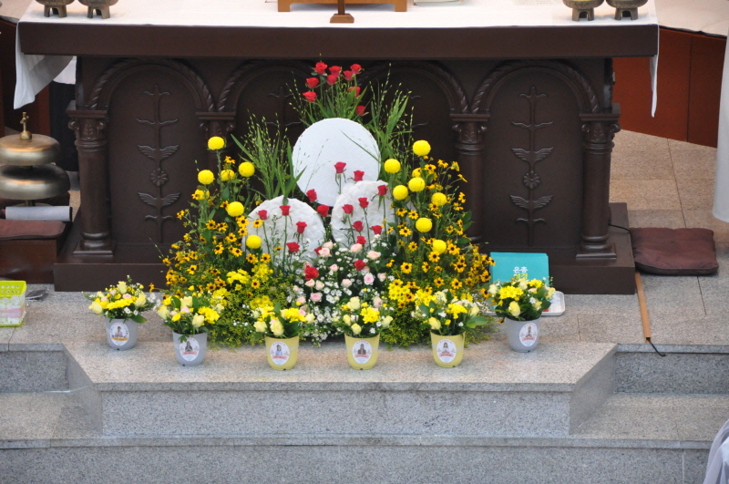[포맷변환][크기변환]DSC_0774.jpg