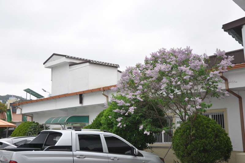 [포맷변환][크기변환]DSC_0780.jpg