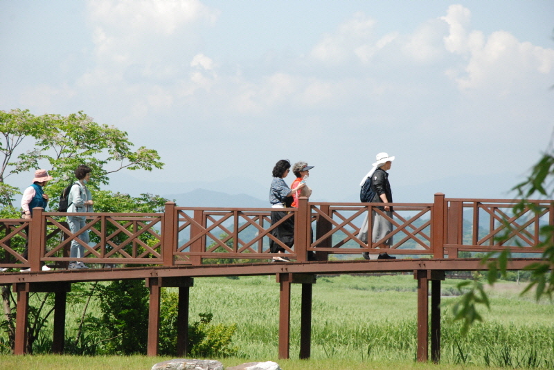 [포맷변환][크기변환]DSC_9374.jpg