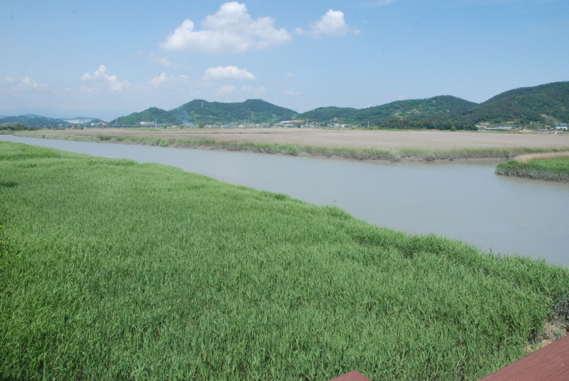[포맷변환][크기변환]DSC_9372.jpg