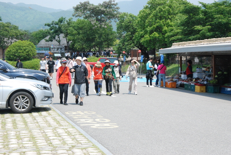 [포맷변환][크기변환]DSC_9337.jpg