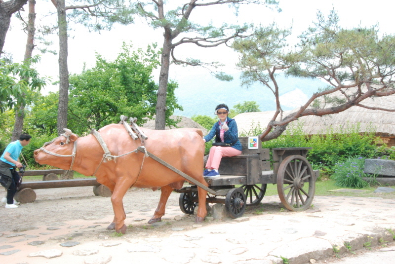 [포맷변환][크기변환]DSC_9319.jpg