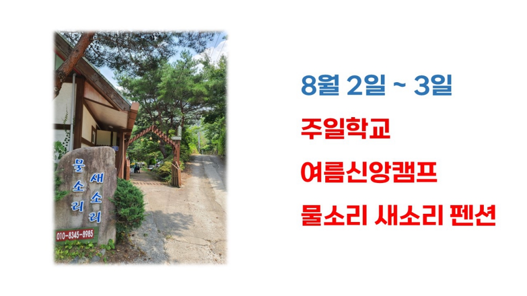 250802 여름_1.JPG