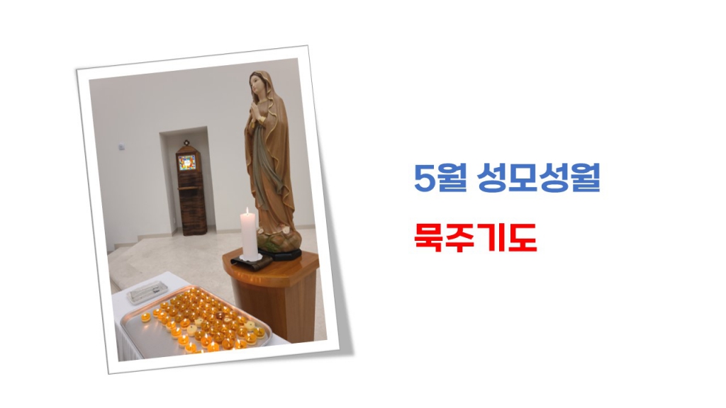 250501성모_0.JPG