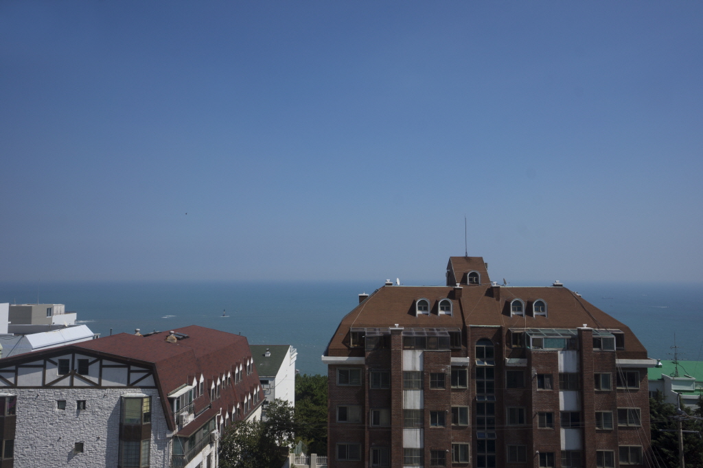 DSC020481024.jpg