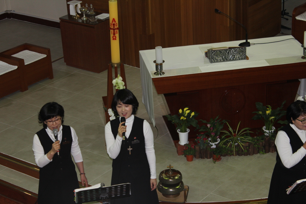 resize_IMG_8518.JPG
