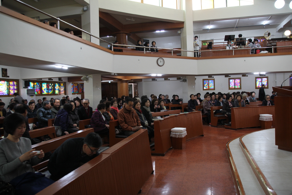 resize_IMG_0242.JPG