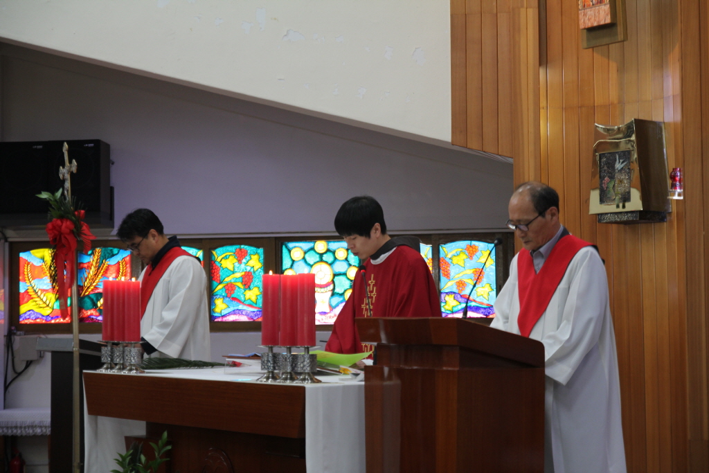 resize_IMG_0268.JPG