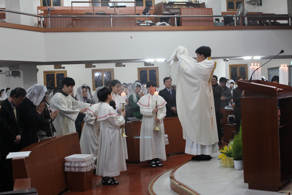 resize_IMG_0311.JPG