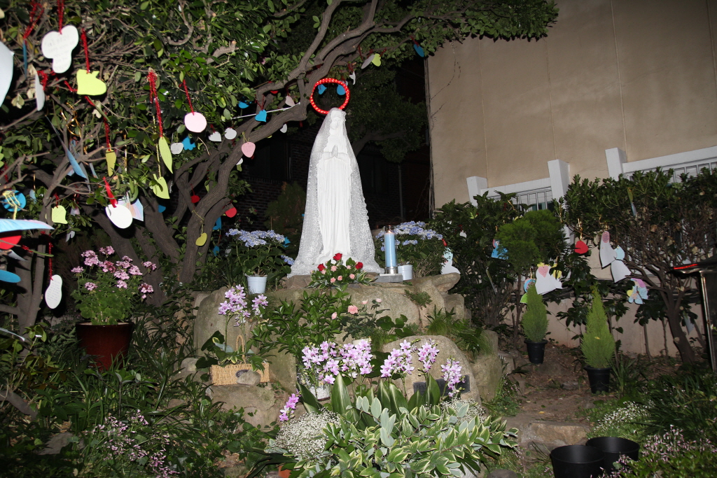 resize_IMG_0458.JPG