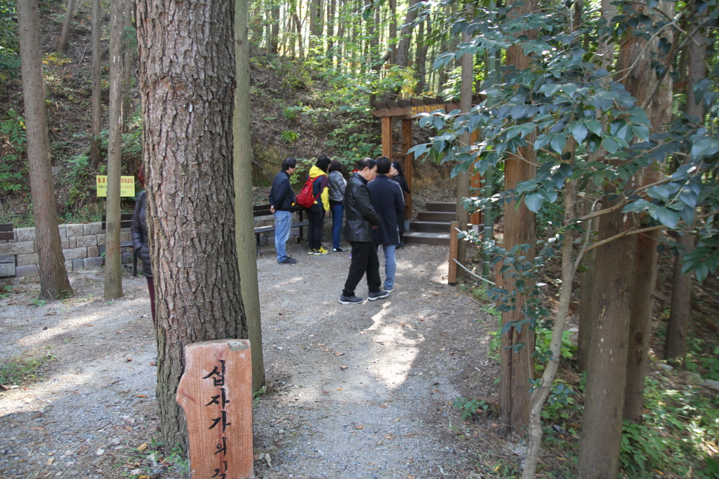 resize_IMG_9588.JPG