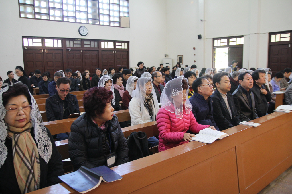 resize_IMG_9584.JPG