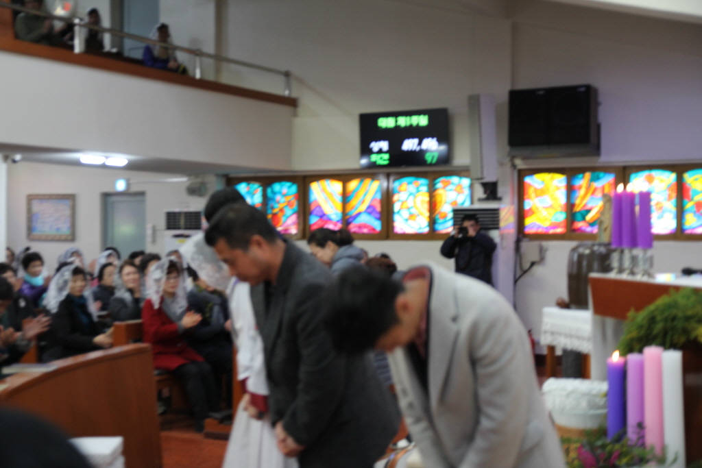 resize_IMG_9656.JPG
