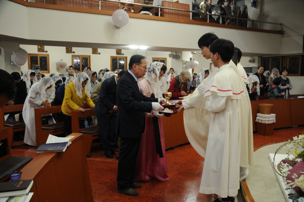 resize_DSC_7987.JPG