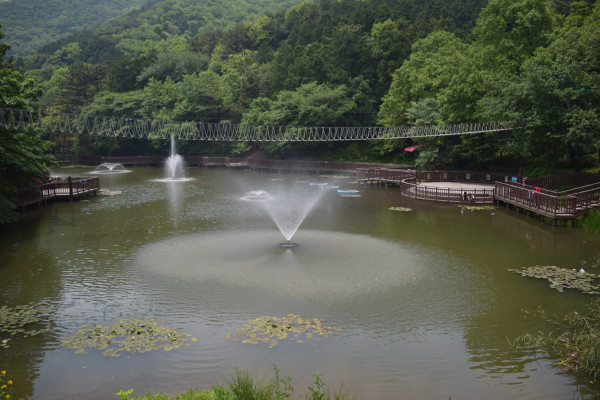 수정됨_DSC_0113[1].jpg
