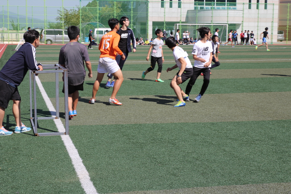 resize_IMG_7078.JPG