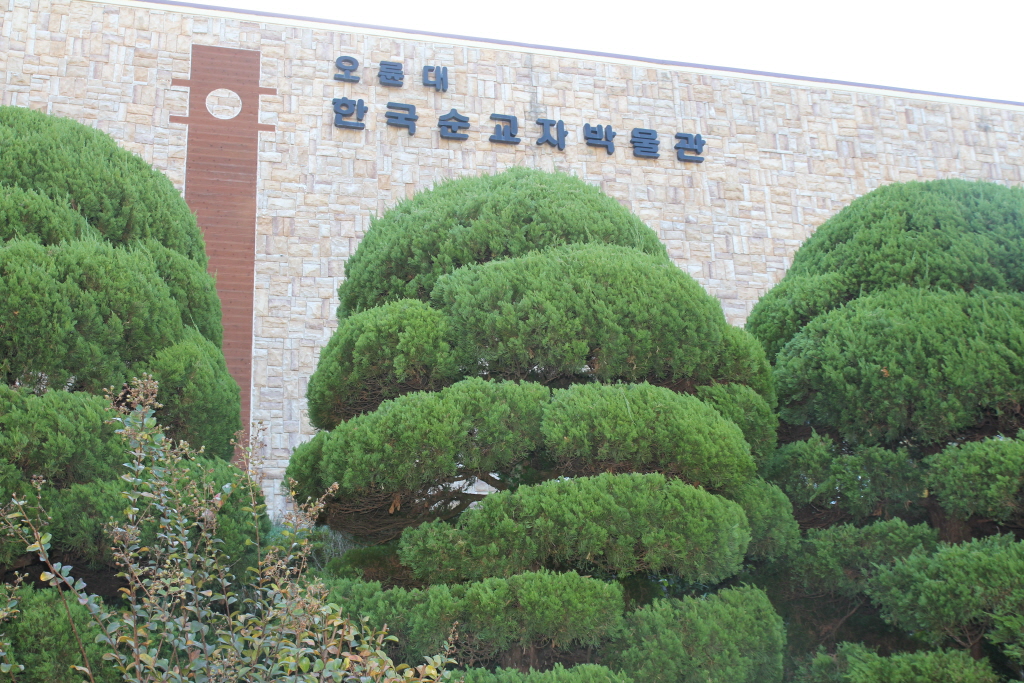 resize_IMG_7096.JPG