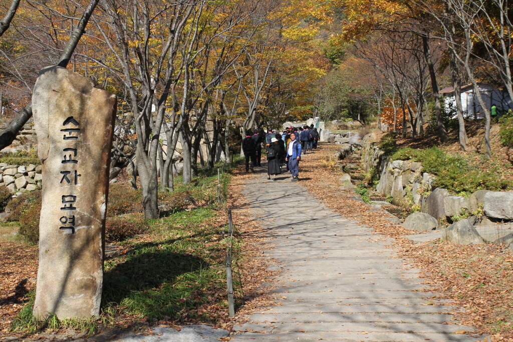 resize_IMG_7217.JPG